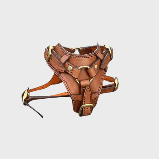 Abbey Brown Leather Pet Chest Harness with Lead