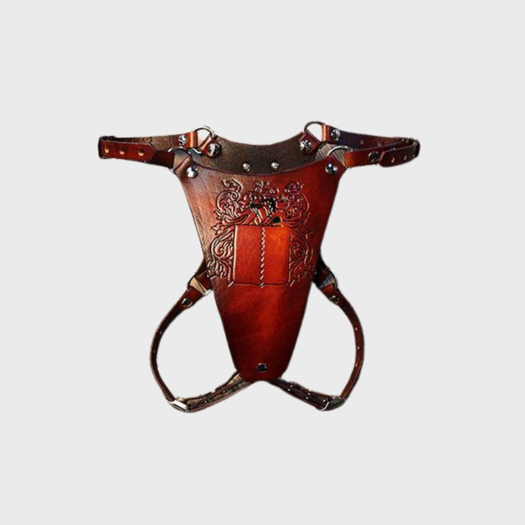 Jack Brown Leather Harness with Custom Name